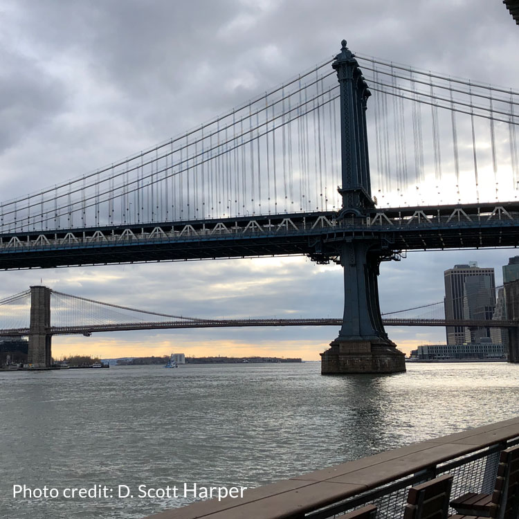 Pam Harper & Scott Harper discuss bridging trust gaps among people with different priorities in today’s complex environment, starting at the top